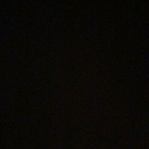 Meet your Posher, Hazel